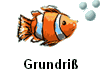 Grundri