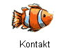 Kontakt